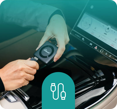 <h4>Plug into USB port</h4>
