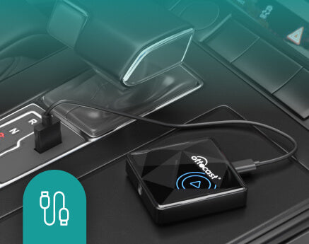 <h4>Plug into USB port</h4>